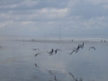 90 mile beach, 15 mins from Pukenui Holiday Park
