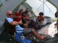 Ideal areas for groups of Pukenui Holiday Park