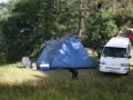 Camping with your pet at Pukenui Holiday Park