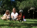 Farmyard animals at Pukenui Holiday Park
