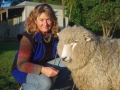 Enjpying Rambo our pet sheep, Pukenui Holiday Park