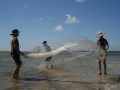Throw nets at Paua, 40 minutes north of Pukenui Holiday Park