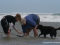 collectingTuatuas on 90 Mile Beach, 20 minutes from Pukenui Holiday Park