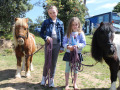 Enjoying Star and Sonny at Pukenui Holiday Park