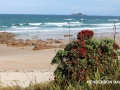 Golden sands of Henderson Bay. 15 mins from Pukenui Holiday Park