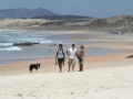 Golden sands of Henderson Bay. 15 mins from Pukenui Holiday Park