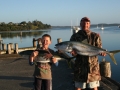 Kingfish caught at Pukenui Wahrf, a short walk from Pukenui Holiday Park