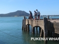 fishing at Pukenui Wahrf, a short walk from Pukenui Holiday Park