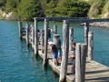 fishing at Pukenui Wahrf, a short walk from Pukenui Holiday Park
