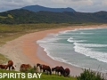 Spirits Bay at the Top of NZ