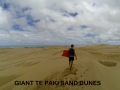Te Paki Giant Sand Dunes , 50 mins from Pukenui Holiday Park