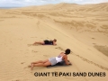Te Paki Giant Sand Dunes , 50 mins from Pukenui Holiday Park