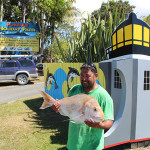 Excellent snapper caught while staying at Pukenui Holiday Park