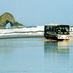 Harisons Cape Runner Tours can be booked from the Pukenui Holiday Park